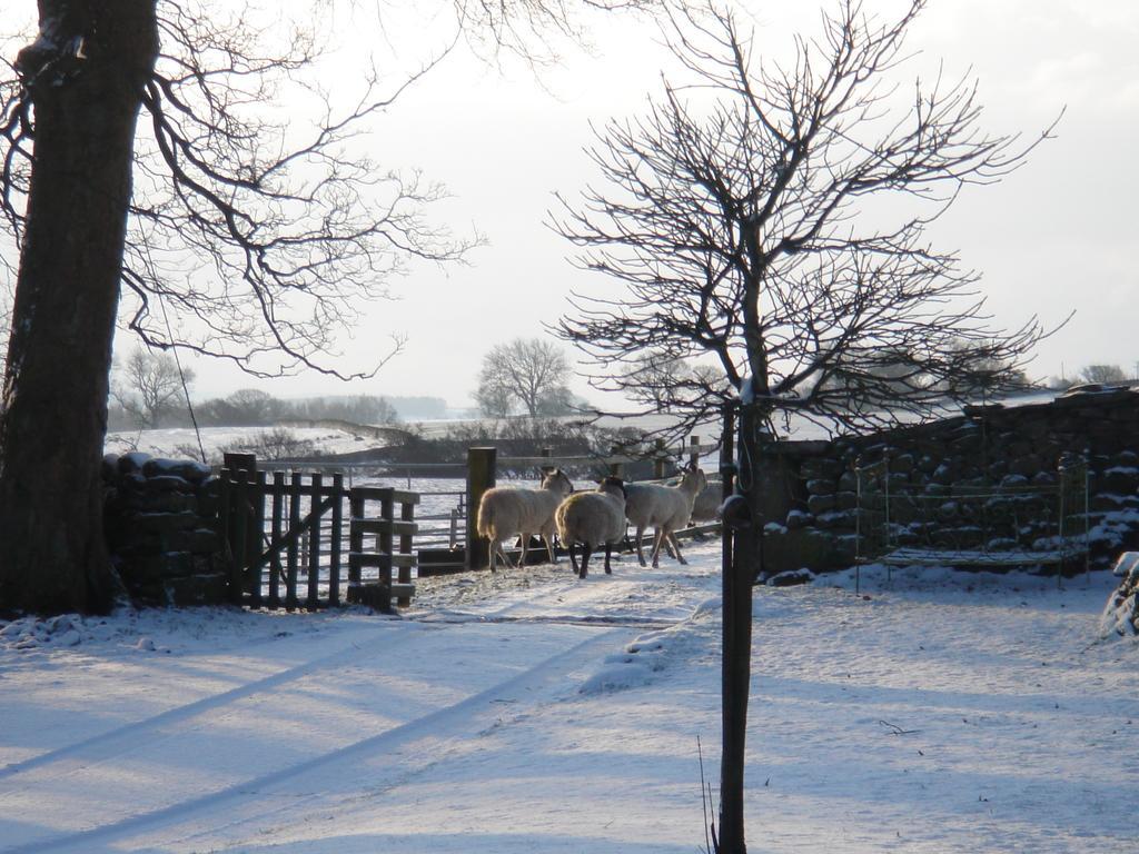 Littlebank Country House Settle Exteriör bild