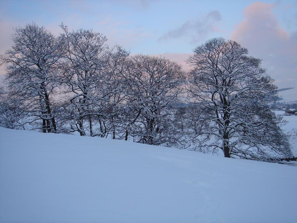 Littlebank Country House Settle Exteriör bild